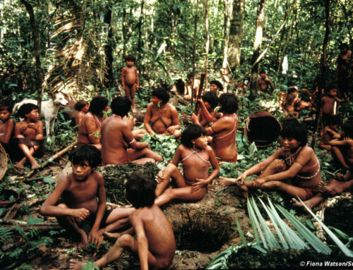 Brasil | «garimpeiros» (mineros ilegales) asesinan nativos yanomami desde hace tres décadas