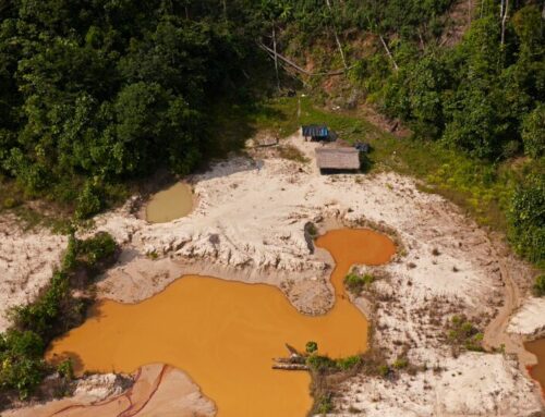 Este martes 7 de julio se estrena el webdocumental “Las rutas del oro”